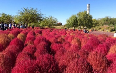Haneul Park @ World Cup Park & getting there | KoreaToDo